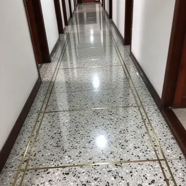 Granito pulido y cristalizado en corredor de casa